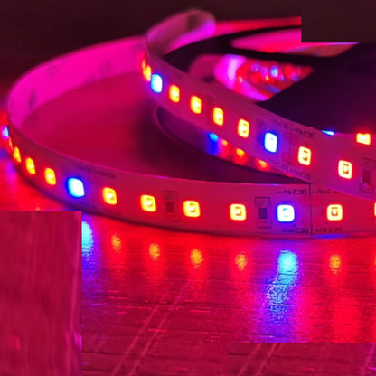 1m grow Streifen 24V 12W 4:1 Rot/Blau 120x LEDs/m Aquarium Pflanzen Licht IP66