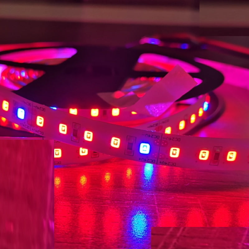 1m grow Streifen 24V 12W 4:1 Rot/Blau 120x LEDs/m Aquarium Pflanzen Licht IP66
